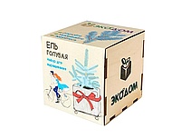 Подарочный набор для выращивания в кубике ЭкоДом «Ель голубая»