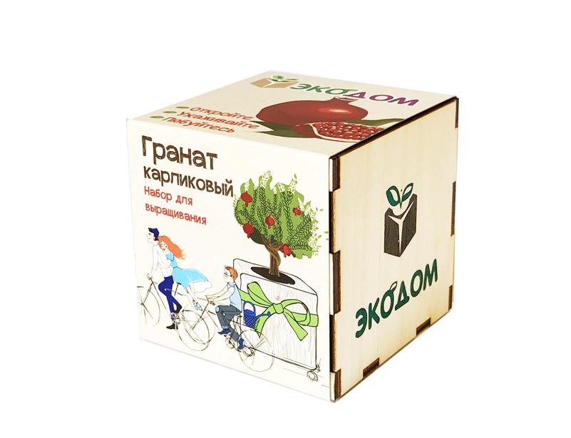Подарочный набор для выращивания в кубике ЭкоДом «Гранат карликовый»